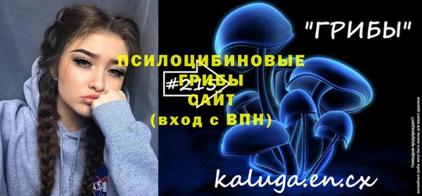 прущие крисы Белоозёрский