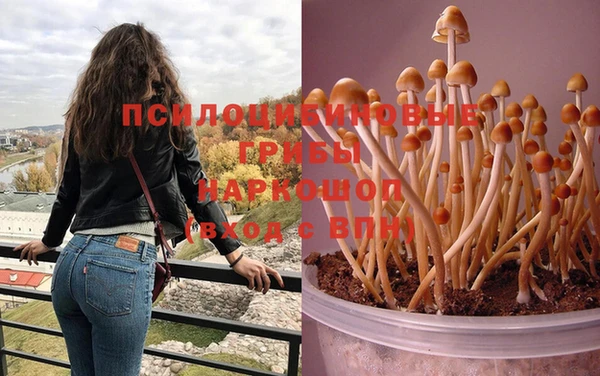 кокаин премиум Белокуриха